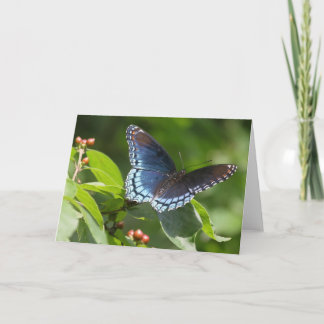 Butterfly 7 x 5 Folded Greeting Card - blank