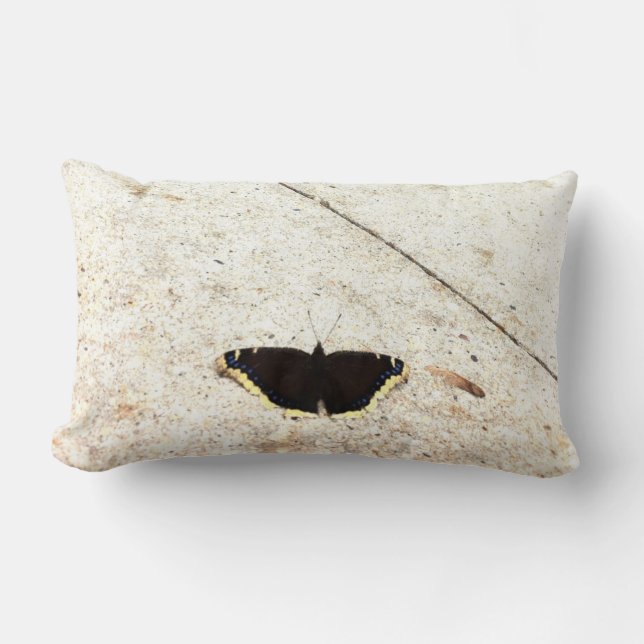 Butterfly Against Stone Lumbar Pillow (Front)