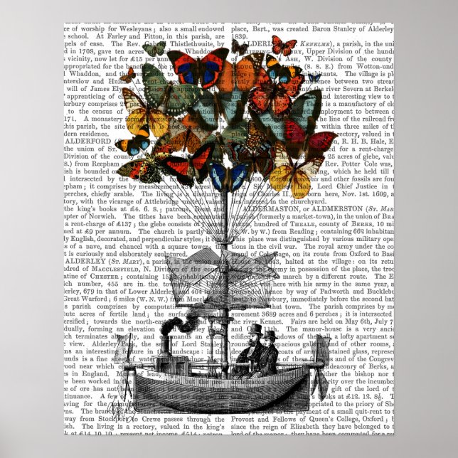 Butterfly Airship Poster (Front)