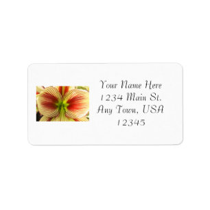 Butterfly Amaryllis Label