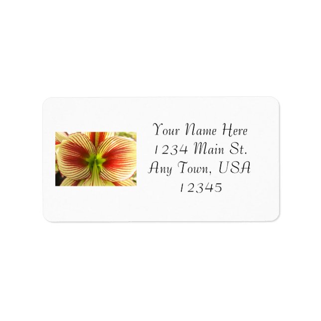 Butterfly Amaryllis Label (Front)