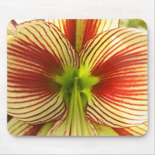 Butterfly Amaryllis Mouse Pad