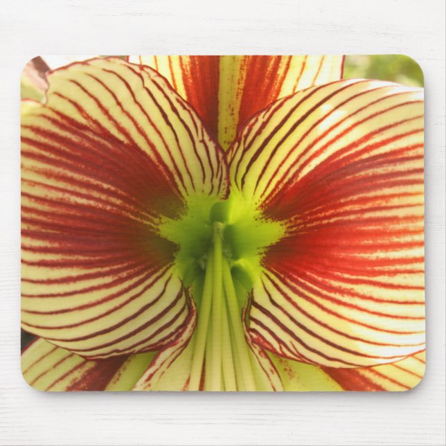 Butterfly Amaryllis Mouse Pad (Front)