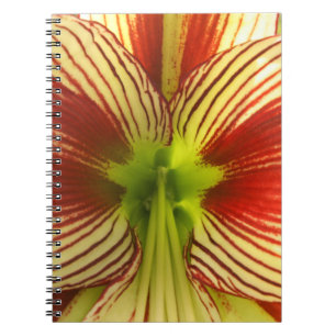 Butterfly Amaryllis Notebook