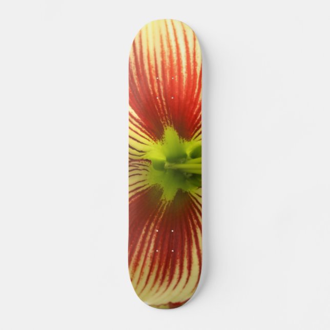 Butterfly Amaryllis Skateboard (Front)