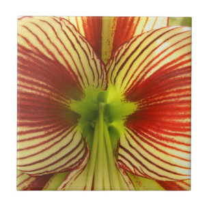 Butterfly Amaryllis Tile