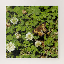 Butterfly Among Flowers