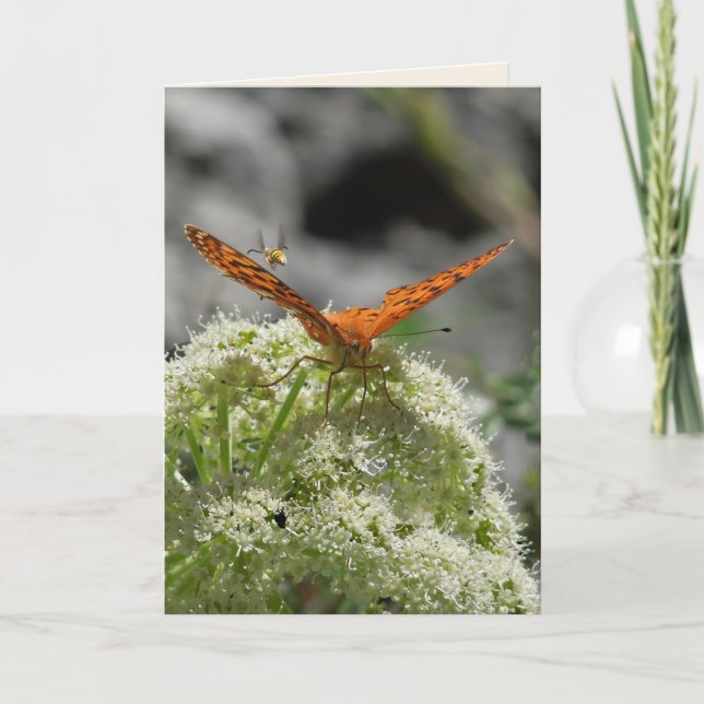 Butterfly and Bee, Blank Greeting Card (Front)