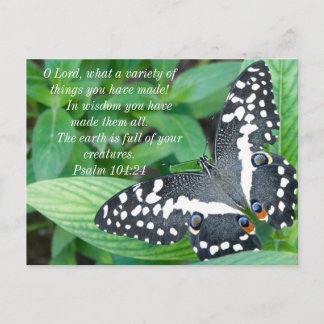 Butterfly and Bible Verse Postcard