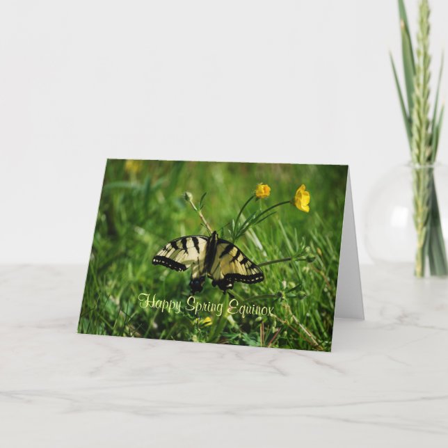 Butterfly and Buttercups Spring Equinox Card (Front)