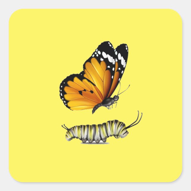 Butterfly and  caterpillar square sticker (Front)
