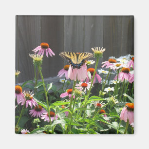 Butterfly and Cone Flowers Magnet