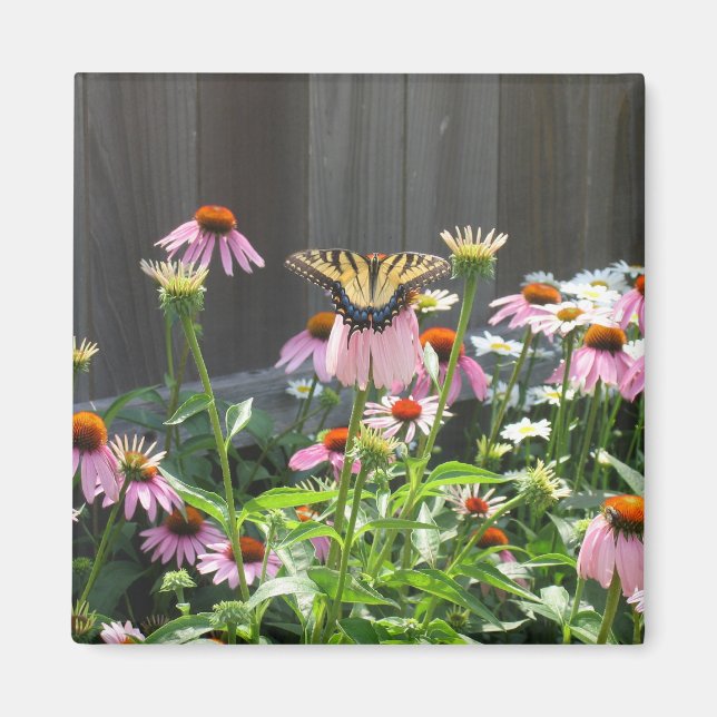Butterfly and Cone Flowers Magnet (Front)