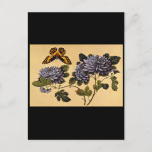 Butterfly and Dahlias', unknown artist_The Orient Postcard