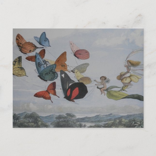 Butterfly and Fairy Queen Butterflies Fairies Postcard (Front)