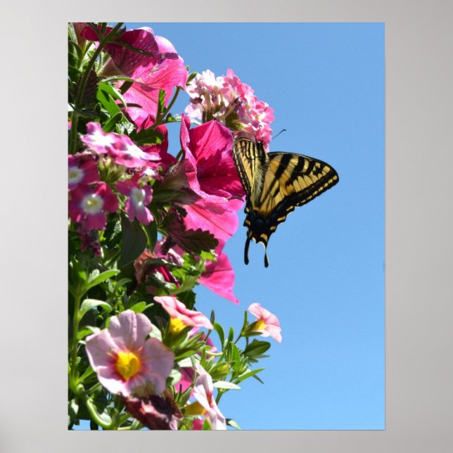 Butterfly and Flowers II Poster (Front)