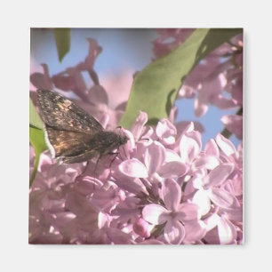 Butterfly and Lilac Magnet