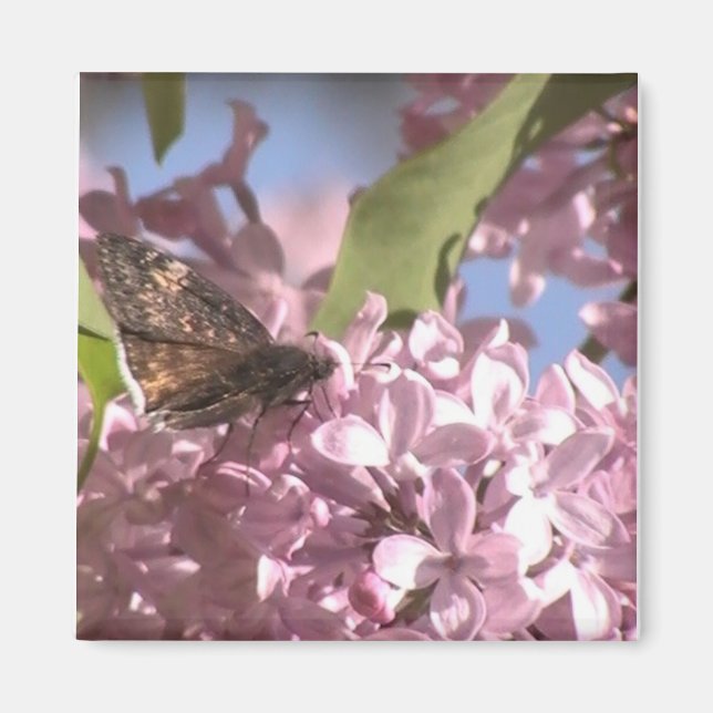 Butterfly and Lilac Magnet (Front)