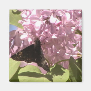 Butterfly and Lilacs Magnet