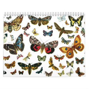 Butterfly and Moth Lithographs Calendar