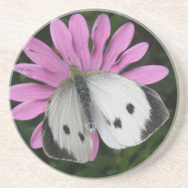 Butterfly and Pink Flower Coasters (Front)