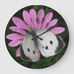 Butterfly and Pink Flower Wall Clock