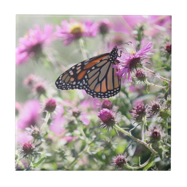 Butterfly and Purple Meadow Flowers Ceramic Tile (Front)
