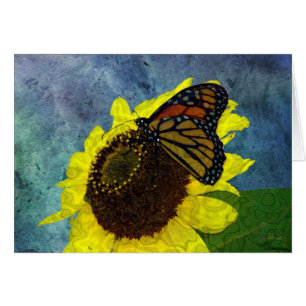 Butterfly and Sunflower Blue Background