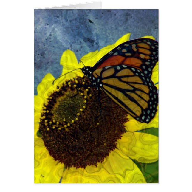 Butterfly and Sunflower Digital Art (Front)
