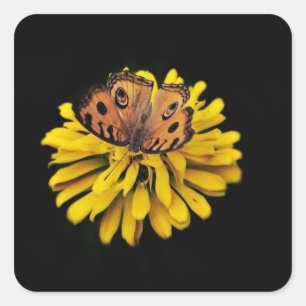 Butterfly and Yellow Flower Square Sticker