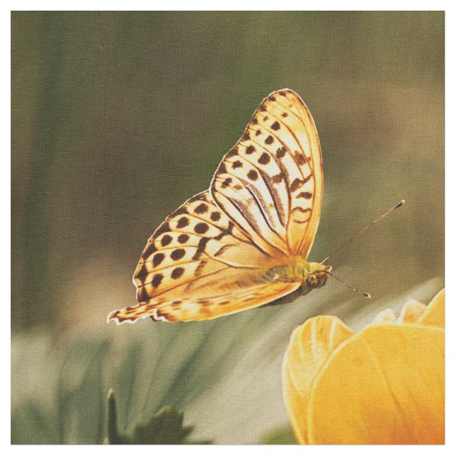 Butterfly Art 32 Options Custom Fabric (Close Up)