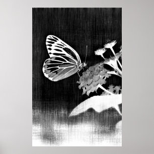 Butterfly Art   Black and White Poster