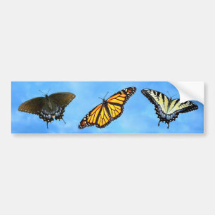 Butterfly Assortment Bumper Sticker