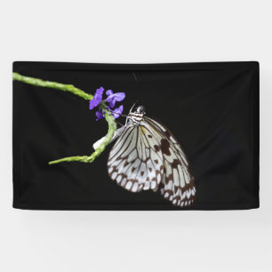 Butterfly Banner