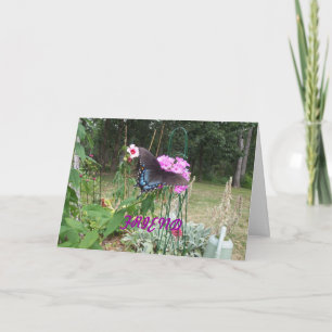 Butterfly, Beautiful Friend Card