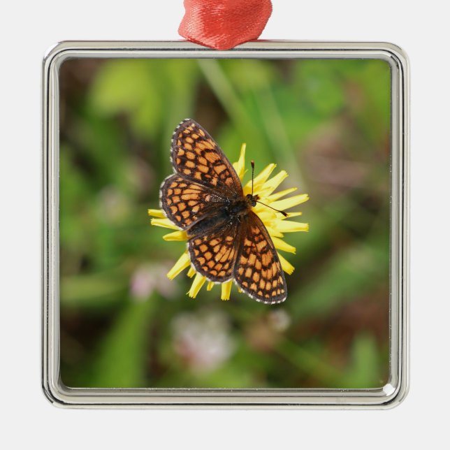 Butterfly - Beautiful! Metal Ornament (Front)