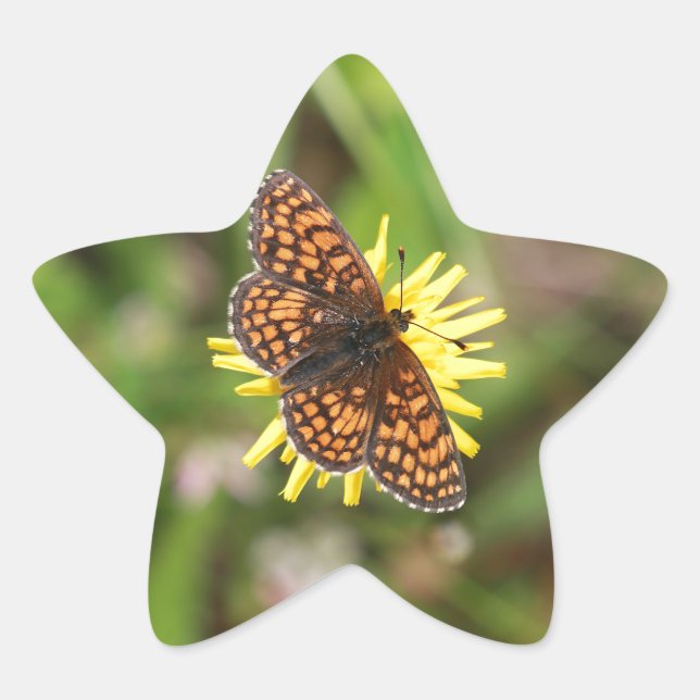 Butterfly - Beautiful! Star Sticker (Front)
