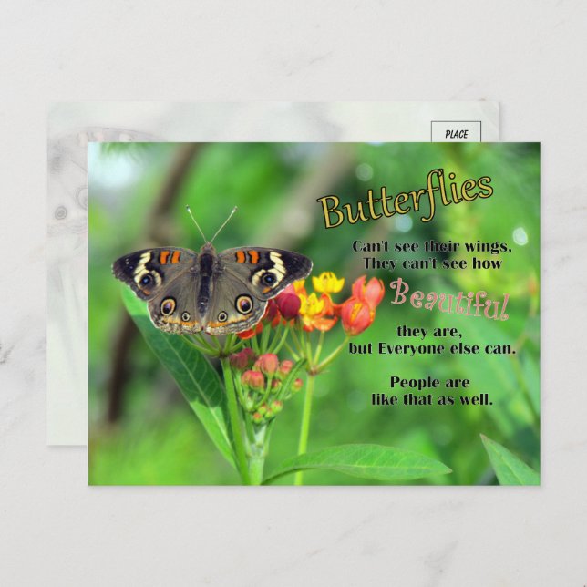 Butterfly Beauty Postcard (Front/Back)