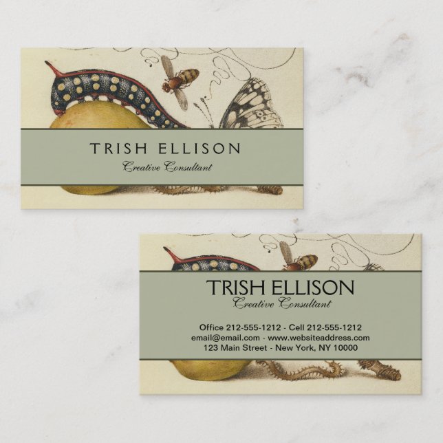 Butterfly Bee Fruit Insect Illustration Business Card (Front/Back)