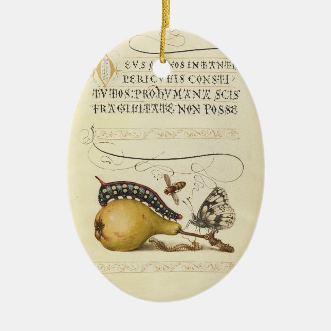 Butterfly Bee Fruit Insect Illustration Ceramic Tree Decoration (Front)