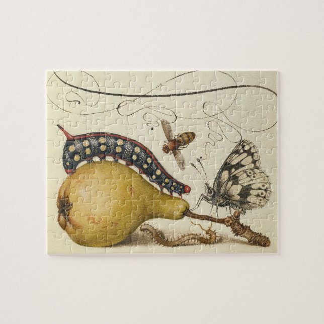 Butterfly Bee Fruit Insect Illustration Jigsaw Puzzle (Horizontal)