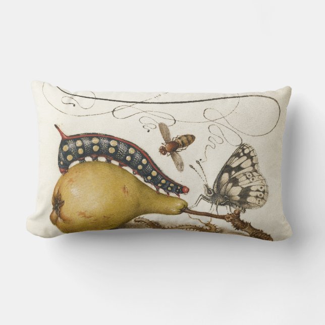 Butterfly Bee Fruit Insect Illustration Lumbar Cushion (Front)
