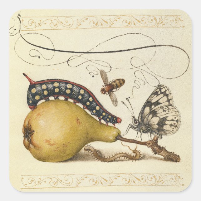Butterfly Bee Fruit Insect Illustration Square Sticker (Front)