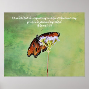 Butterfly Bible Scripture Photographic Art Print