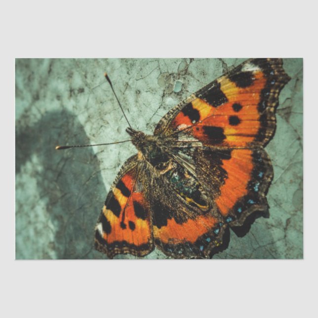 Butterfly Birthday Tissue Paper (Front)