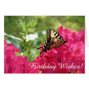 Butterfly Birthday Wishes Greeting Card
