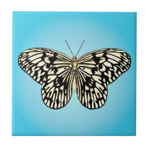 Butterfly - black and white on turquoise tile