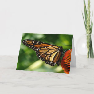 Butterfly Blank card