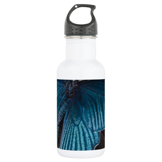 butterfly blue insect flying beautiful wings 532 ml water bottle (Front)