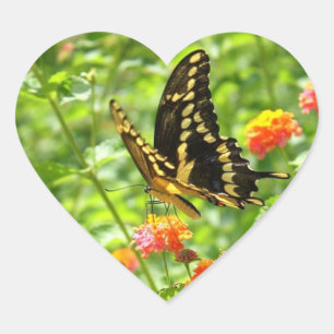 Butterfly Bright Heart Shaped Sticker
